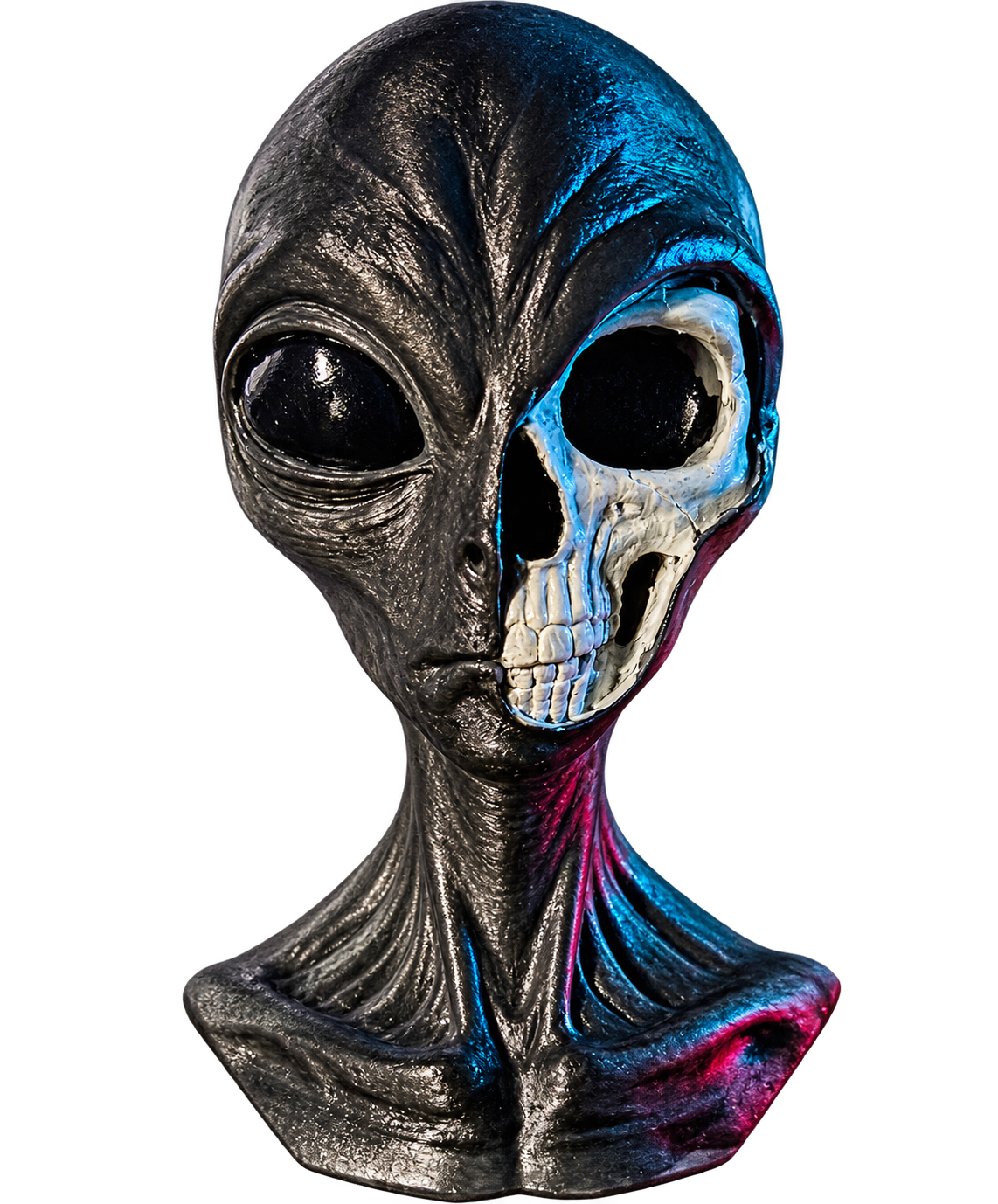 Busto Alieno Ibrido: Teschio e Pelle